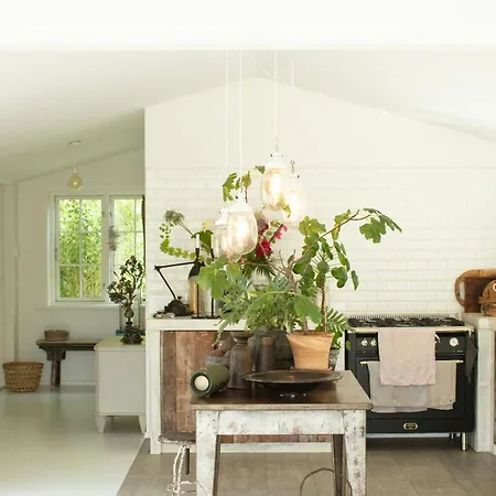 Luxurious With Bohemian Style